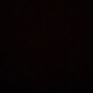 Meet your Posher, Silas